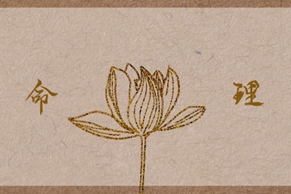 云夜网络 黄历择吉 择吉老皇历 搬家择吉日